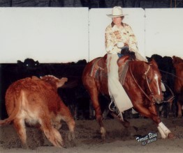 Alegria