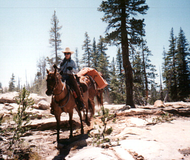trail horse