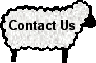 contact us button