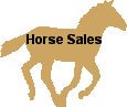 horse sales button